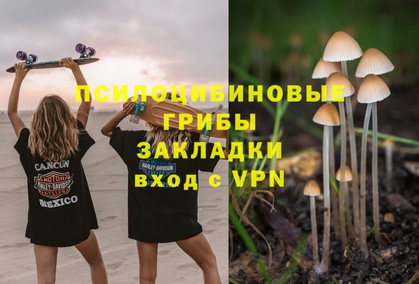гидропоника Алзамай