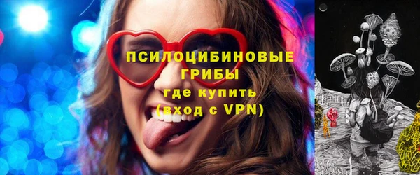 гидропоника Алзамай