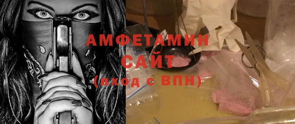 амф Алексин